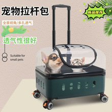 �������U��͸��؈�������y����̫��œ��̖��ֻ؈��������С��܇