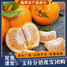 ���ϸ�ɽ¶��Nֲ�ո��J�̃�ͯ�ЋD���rˮ���ո���ϬFժ�F�lֱ�l