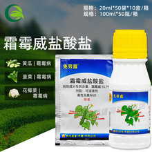 �d�r���¶˪ù���}���}�����S�ϻ�Ҭ��˪ù�����������rș������