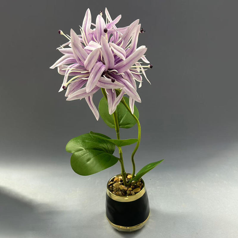 新款植物小盆栽 客厅玄关氛围感装饰仿真植物摆件家居装饰仿真花|undefined