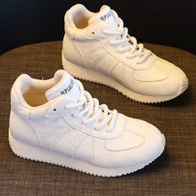 ߎƤСЬŮ^ţƤ2025¿ӽqƤeЬWtЬ