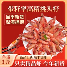 新货北极虾北极熊带籽即食甜虾头膏头籽腹籽冰虾新鲜熟冻冷冻海鲜