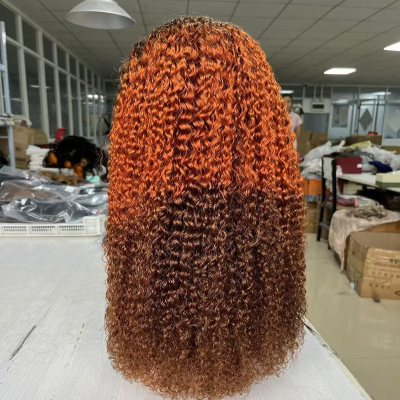 Cross-Border European and American Wigs for Women, 13*4 Front Lace, 5*5 Front Lace, Small Curly Hair, Full Real Human Hair, Full Head Wig Cross-Border European and American Wigs for Women, 13*4 Front Lace, 5*5 Front Lace, Small Curly Hair, Full Real Human Hair, Full Head Wig