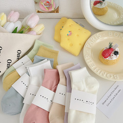 春秋短筒襪純色襪子女純棉薄款日系學生運動休閒彩色短襪糖果色