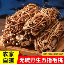 Ұ����ָë�Ҹ������������r����צ��5g�Ҝ�����