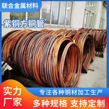 T2紫铜盘管厚壁紫铜方管 工业用导电导热紫铜管方管软态盘管