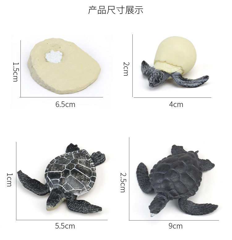 生长周期内页_07