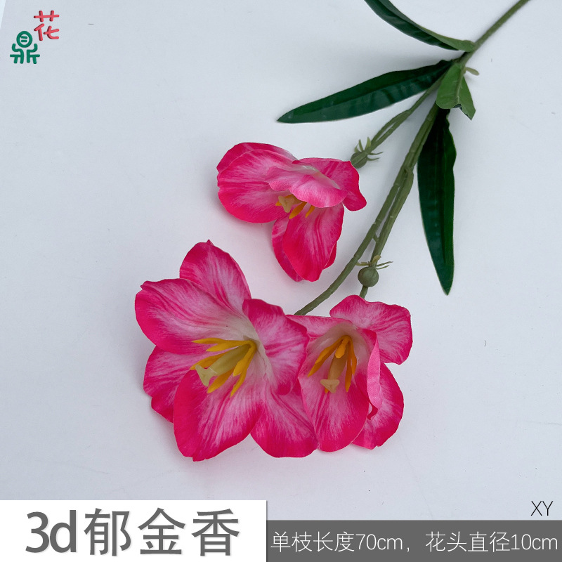 3D 튤립 XY 로즈 레드