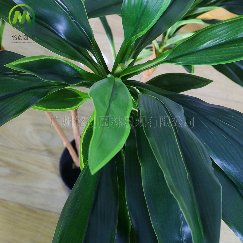 Simulación de paisaje de plantas verdes Terciopelo Planta falsa de hierro brasileño de alta gama Planta en maceta Simulación de suelo interior Planta verde con maceta