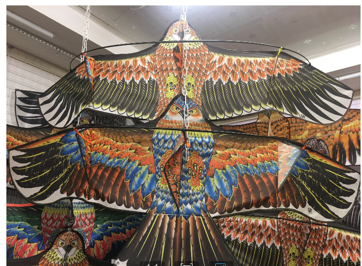 微信图片_20231122213145