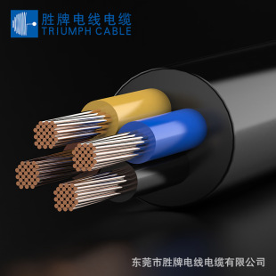 ���� ���Sֱ�N �͟��o�u�o�׾� ��ƽ�� H07ZZ-F 5*4MM 450/750V