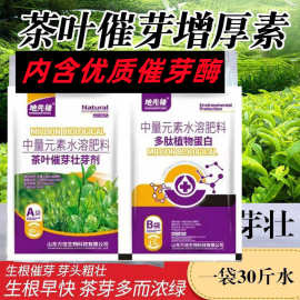 茶叶催芽灵茶树茶园催芽促长剂催芽不含激素芽头多壮