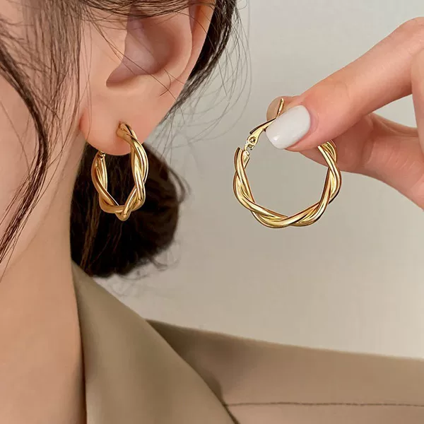 European and American Fashion Geometric Twist Braided Hong Kong Style Design Circle Earrings for Women, Light Luxury Niche 2026 New Model Earrings