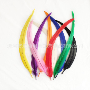 ���S��ֱ�N��Ⱦɫ���uβëÓɫ���uβ��ë35-40cm ��̨�ݳ����b��
