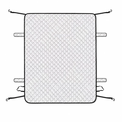 protection, sunshade, various types — Car snow shield