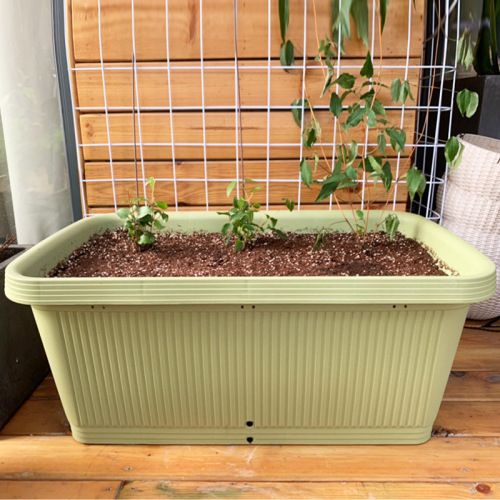 Aries Planter Rectangular Large Vegetable Growing Pot Vegetable Planting Box Resin Plastic Balcony Flower Pot for Planting Flowers and Vegetables