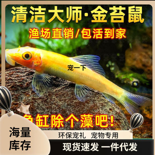 ������坍�~��̦���~�Ꭷ�^�p�~��̦�������~�~�׳���С�͹����~