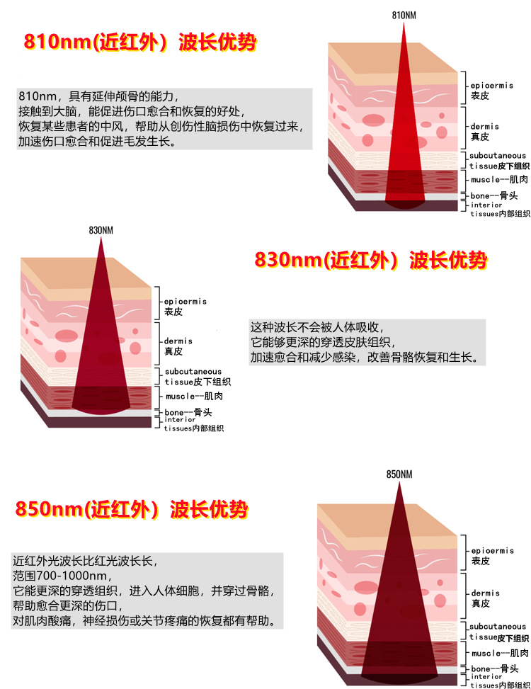 red light therapy 4_副本