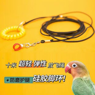 �W�^���w��_���wӖ���W�^�����w���K