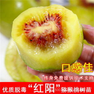 �ϱ����t�īJ���ҹ����������S�ď����Ҙ��箔��Y��ܛ���J������