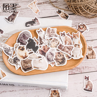 İī���b�N�� С؈���� ؈�����~DIY�ز��b����z����N 45ö��