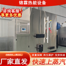 水泥制品养护颗粒蒸汽发生机操作便捷厂家直供1T生物质蒸汽发生器