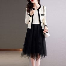 两件套秋冬季新款连衣裙韩版修身显瘦遮肉加厚风网纱套装