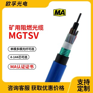 �V�Æ�ģ��ȼ���|mgtsv-16b1��ż����w���C��16о