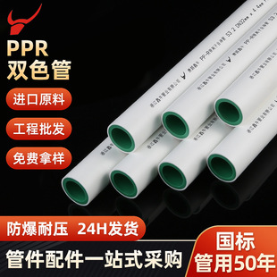 ����̖�aƷPPRˮ��PPR���ˮ���pɫ���pɫ�y�x��PPR�S��؛Դ���l