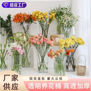 网红水晶养花桶塑料透明养花桶鲜花桶插花器防摔花桶花店装饰用品