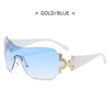 Fashionable sunglasses, windproof glasses, European style, light luxury style