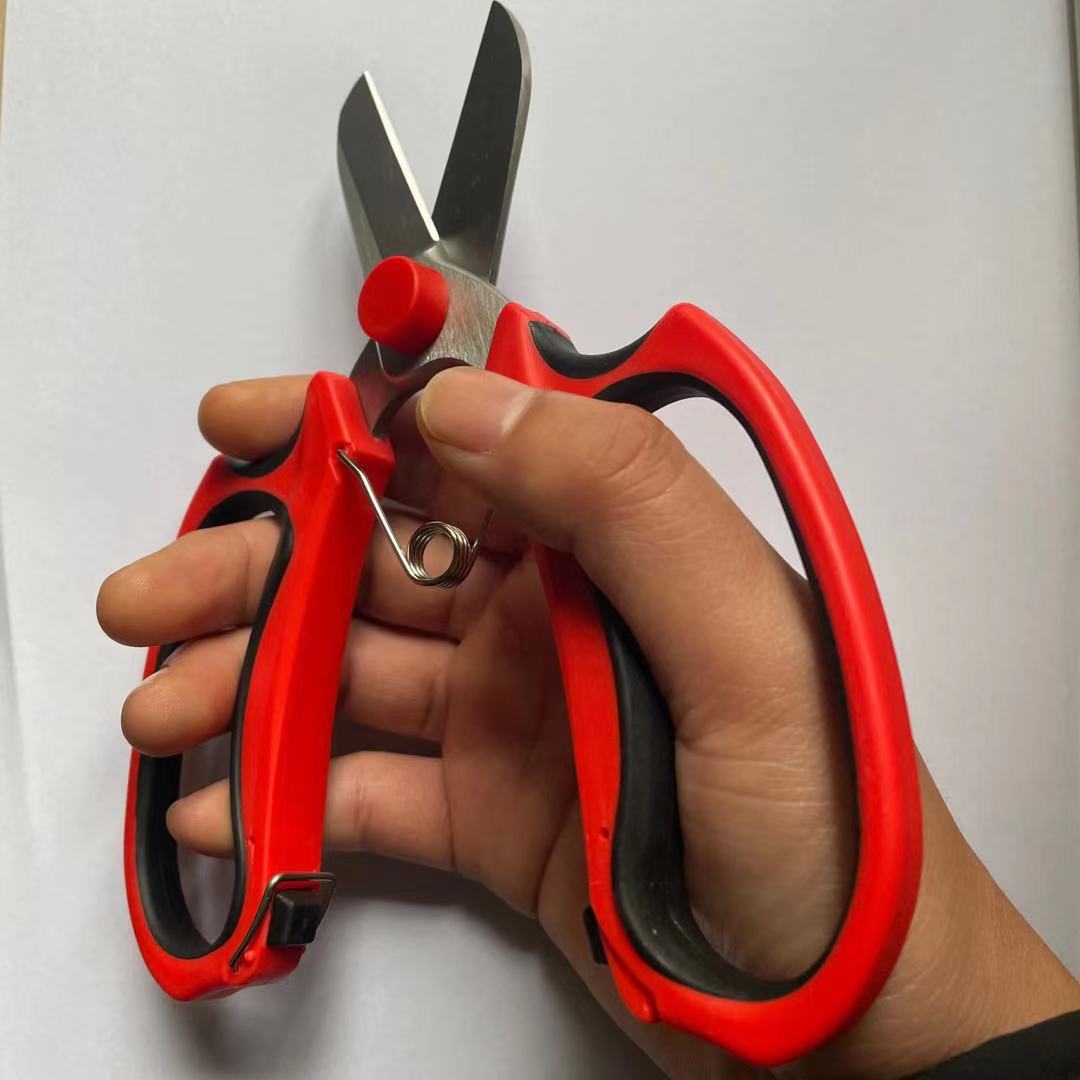 ΢��ͼƬ_20210319105941