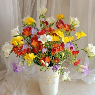 ��ѩ�m�r�л���ϻ���ֱ�l�廨ˇ�k��˾С�����⻨