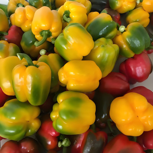 ��������𽷷N�Ӿ�ţ��ǟ��\ˮ��ħ���㰙��Ƥ�߲������A�t�S�G