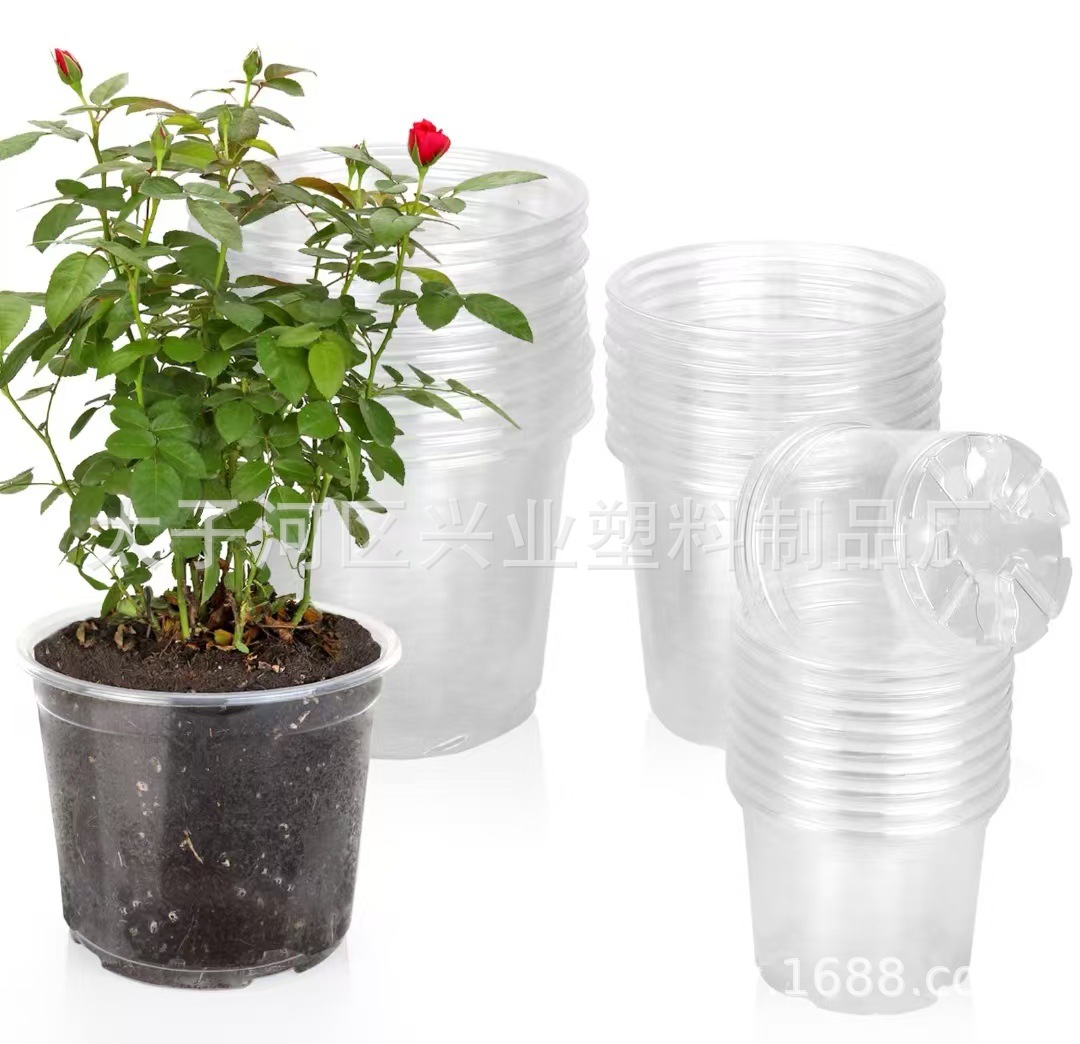 微信图片_20241214150742