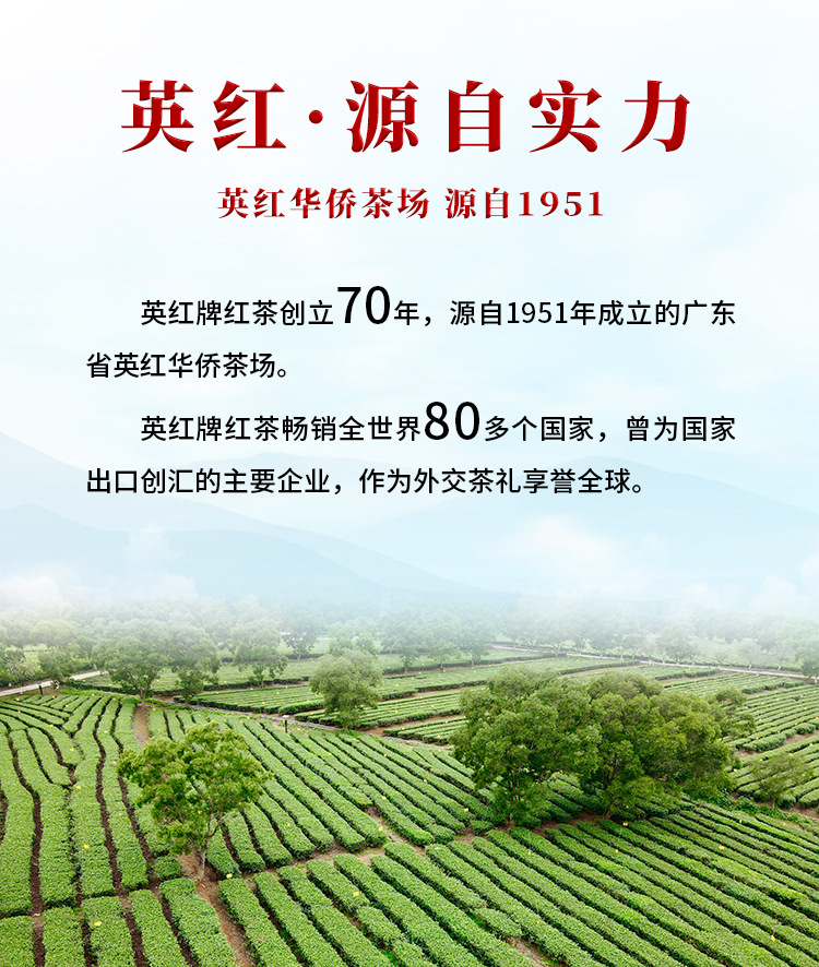 英红优品九号250g详情页_12