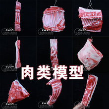 食物模型假菜生肉猪肉条腊肉羊排五花肉猪蹄猪头食品样品菜品