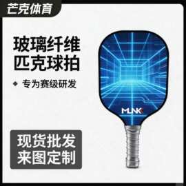 新款匹克球拍耐用型玻璃纤维匹克球拍套装含球桨板专用的匹克球拍