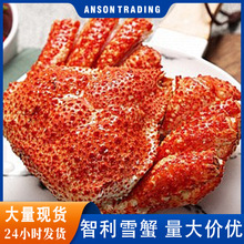 智利帝王雪蟹熟冻冷冻帝王岛皇帝蟹螃蟹多规格餐饮海鲜日料批发