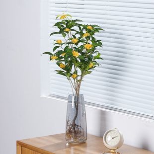 ˮֲ҃ȾGֲļ_B͏dkҝͻ