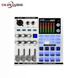 Private Model Professional Sound Card New Live Broadcast Recording Tape Otg Intelligent Noise Reduction 48V Power Supply Wireless Accompaniment 11 Volume Levels