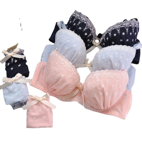 Japanese three-color chiffon embroidered thin cup girl cute push-up sexy underwear set bra set with DE code