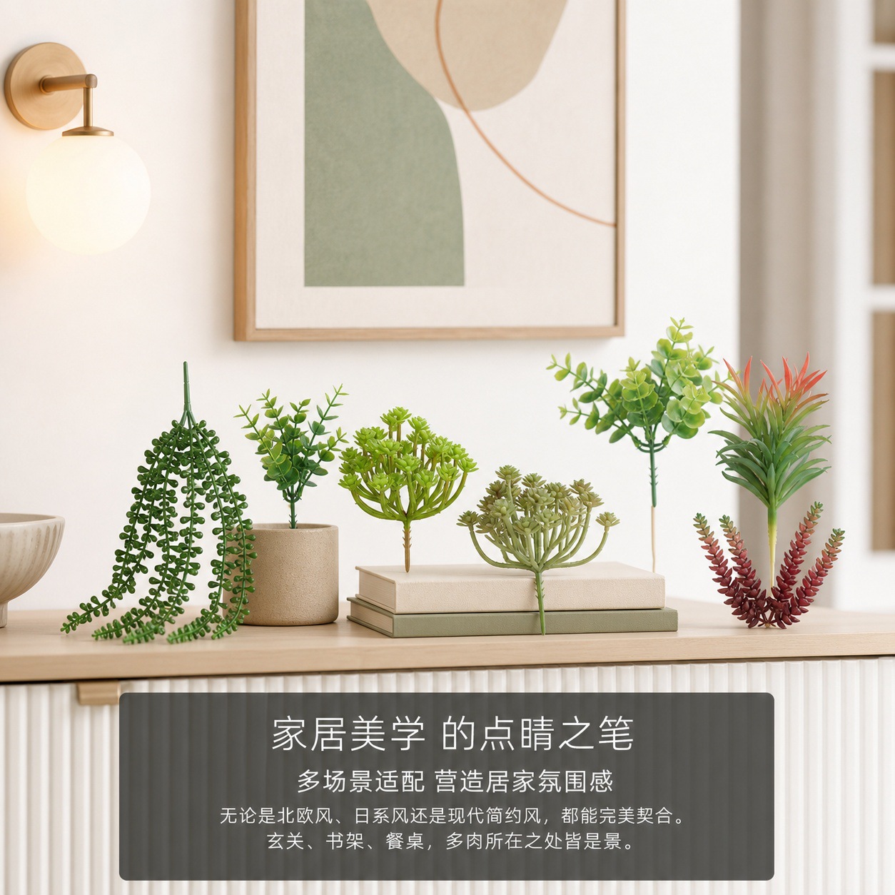 6101多肉详情页 (7).jpg