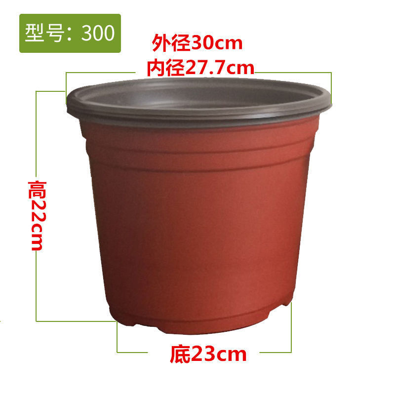 3e27b37c-6dff-44ea-bf60-f19242cdc6db.jpe