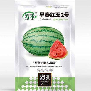 �紺�t��С���ϷN�ӷN���ݼ޽���߮a2k�Ϸ��ļ��������ԷNֲ����