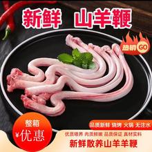 新鲜羊鞭烧烤煲汤爆炒羊宝羊睾丸冷冻现宰羊鞭羊肉500g包邮羊腰子