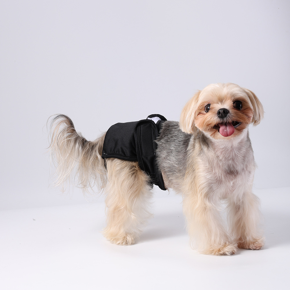 Pantalones para perros, pañales a prueba de fugas, pañales de seguridad para perros, artículos para mascotas, orinales sanitarios