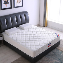 ɶƵ괲|SҶṤ̼ӺoӺ񺣾dɴ|20cm