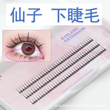 �������½�ë��Ů��ë�δطֶ�ʽ�޽ӽ�ë��������Լ���