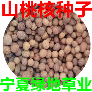 ���l��ľ�N��ɽ�Һ˷N��ë�Һ˘�N�����~�Ҙ�N��ɽ�ҷN�Ӿ��^